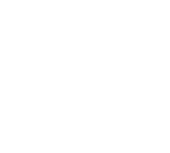 Pasticceria Andreoletti — Gusto e Performance